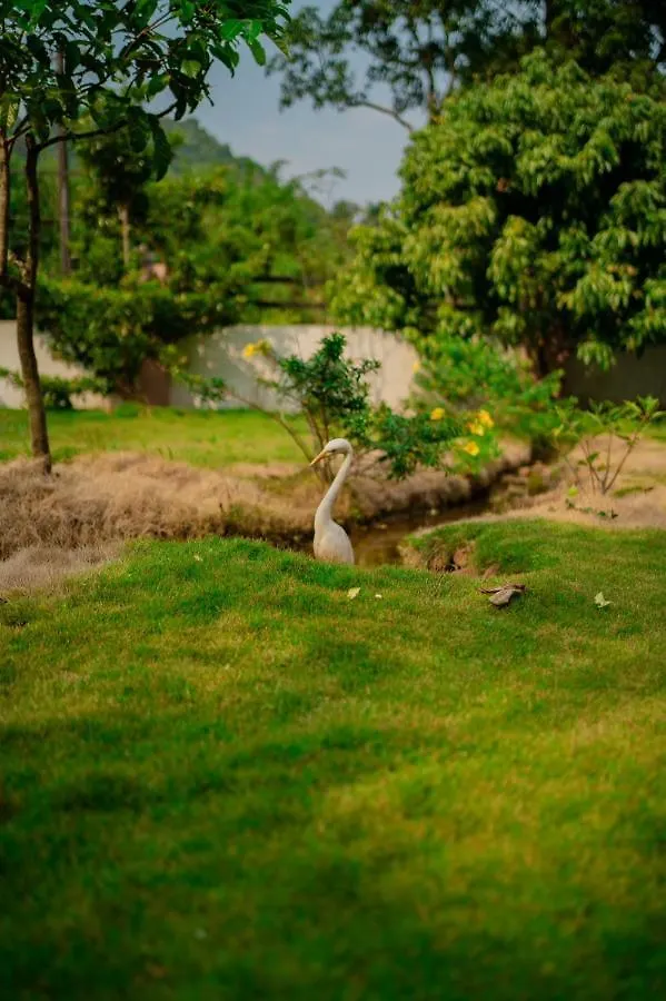 Vythiri Villas Wayanad